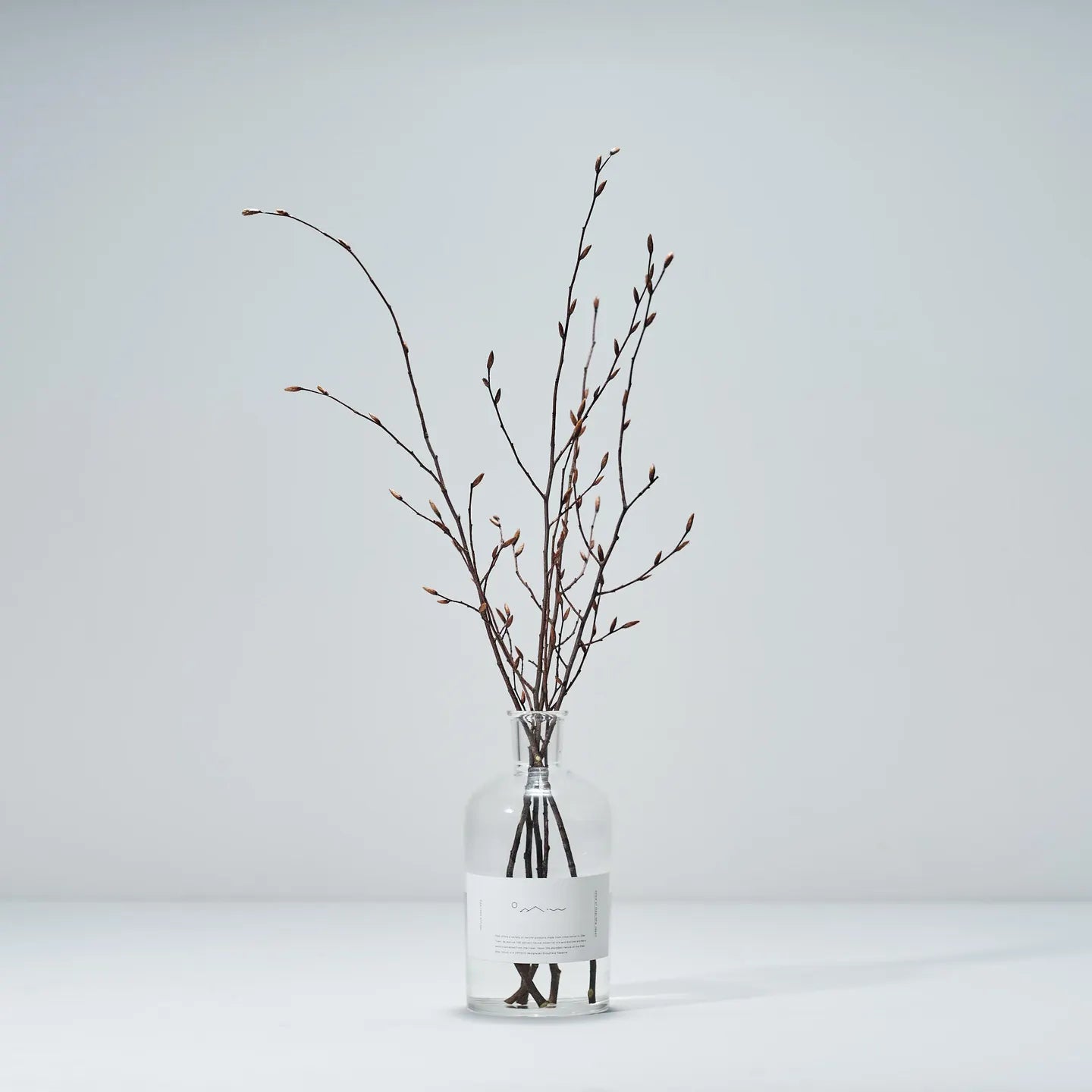 Odai／cokage　イヌシデ ディフューザーセット