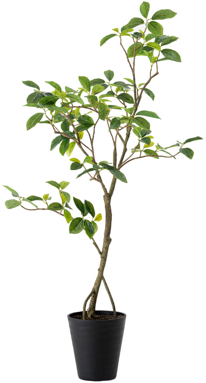 フェイクグリーン ガジュマル　高さ120㎝｜form