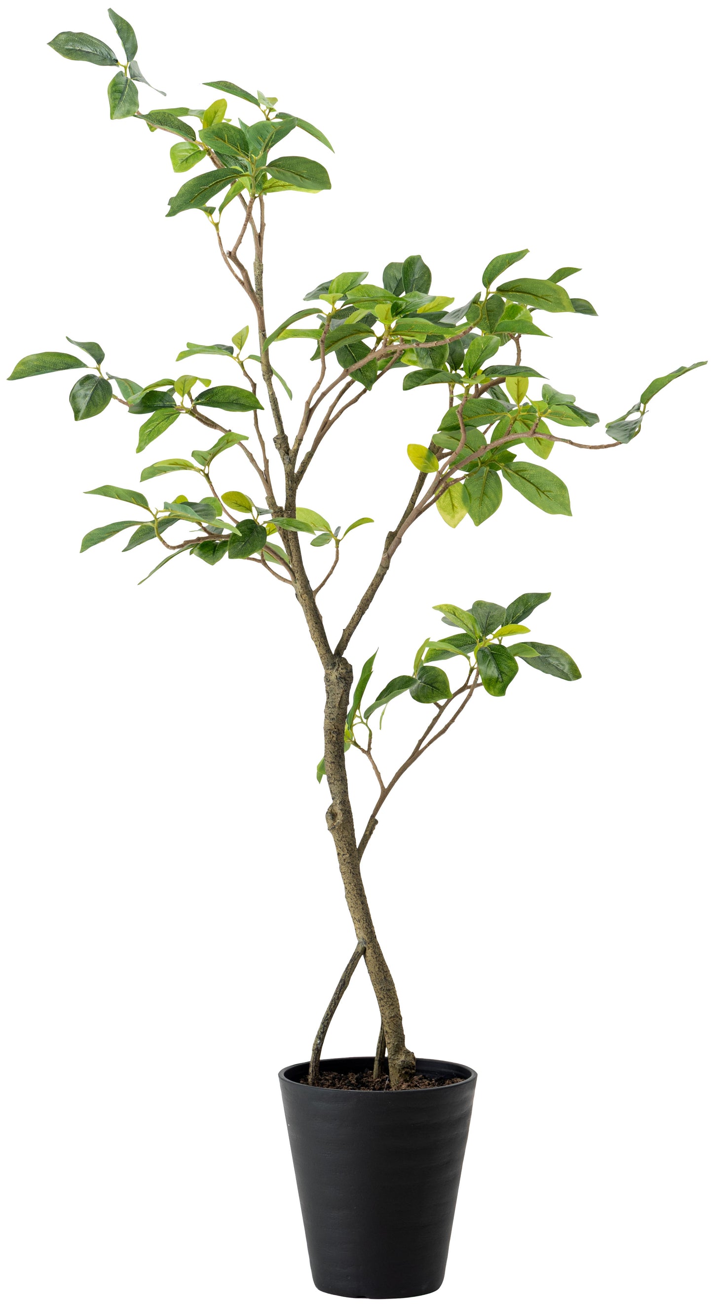 フェイクグリーン ガジュマル　高さ120㎝｜form