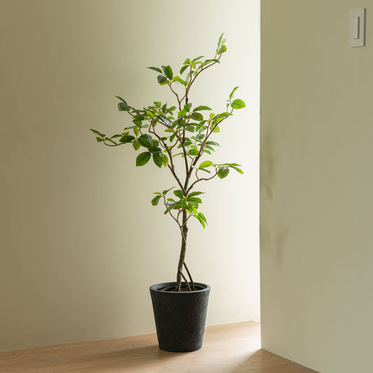 フェイクグリーン ガジュマル　高さ120㎝｜form