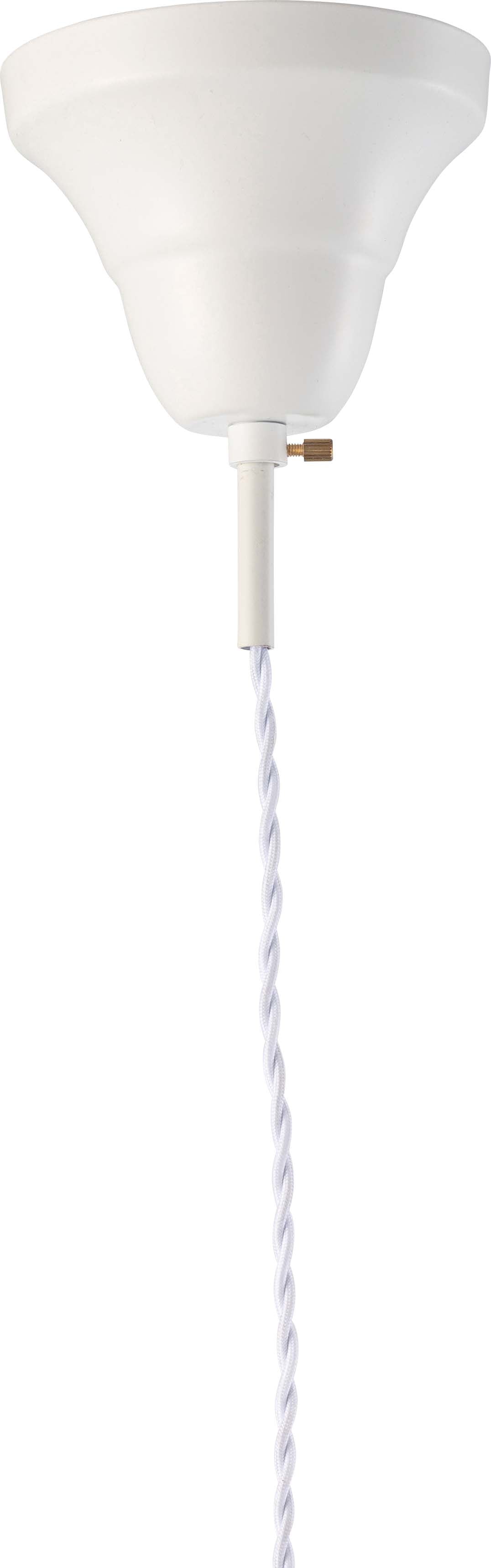 メッシュシェード ライト 1灯 照明 エジソン球 電球付き 照明器具 ホワイト ブラック2カラー｜Rigel