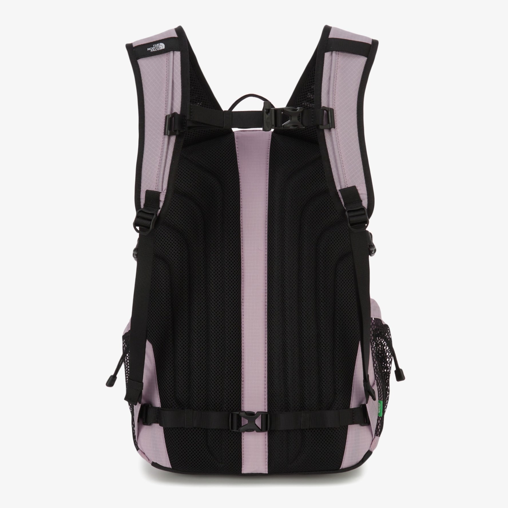 BOREALIS　M