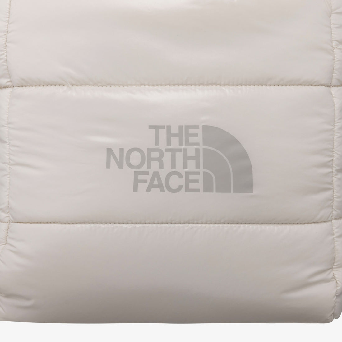 PLUMPY TOTE BAG L THE NORTH FACE