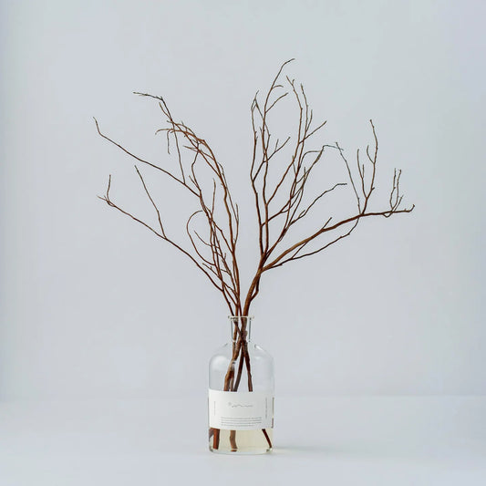 Odai／cokage　ヒメシャラ ディフューザーセット