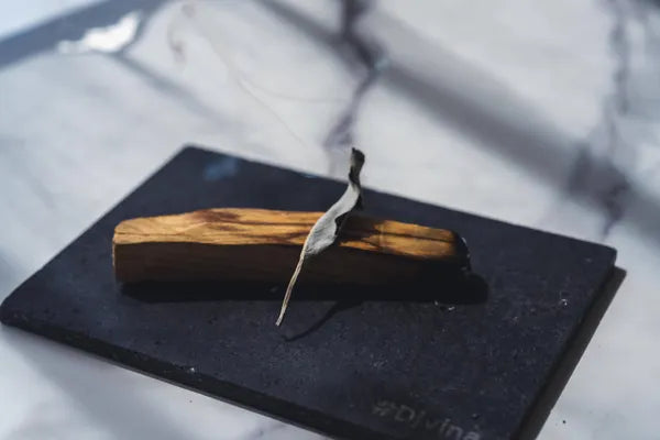 カルフォルニア産オーガニックホワイトセージ トップス（枝付きリーフ）約30g