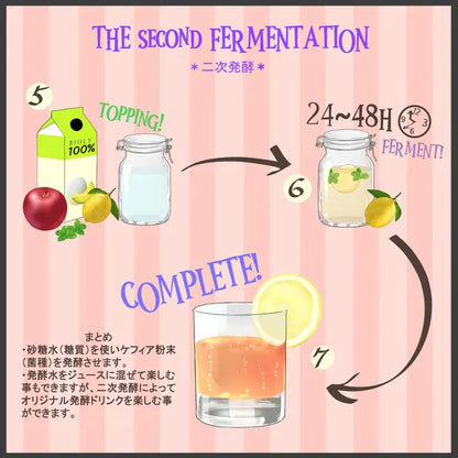 美肌をつくる簡単自家製「発酵ドリンク」ウォーター ケフィア スターター (粉末5g)