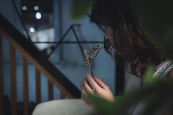 カルフォルニア産オーガニックホワイトセージ トップス（枝付きリーフ）約30g