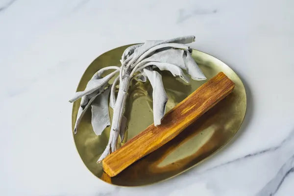 カルフォルニア産オーガニックホワイトセージ トップス（枝付きリーフ）約30g