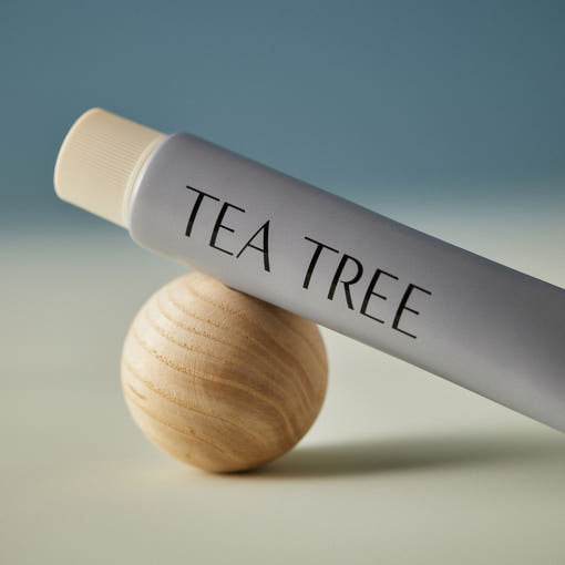 AROMATICA ティーツリー バランシング トゥースペースト 100ml - eonni